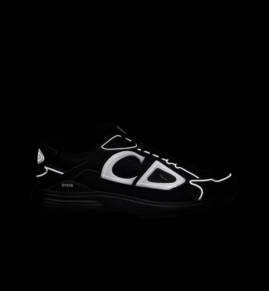 Tênis Dior B30