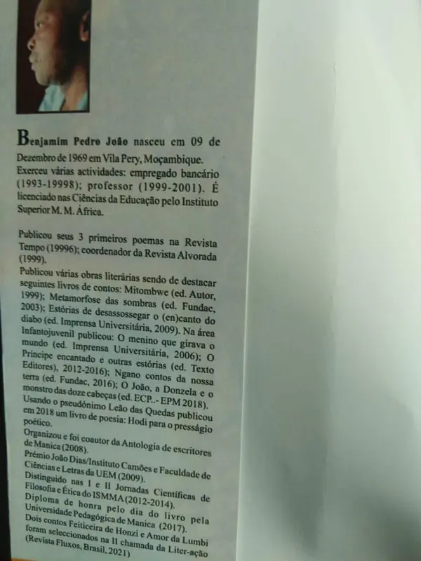 Louco, Fabuloso e Insubmisso - Livro 