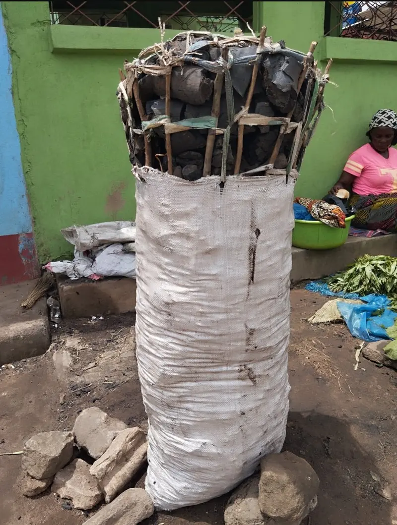 Saco de Carvão para Cozinha  