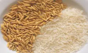 Semente de Arroz Macassane (kg)