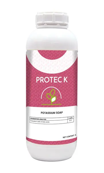 Protec K, 1LT