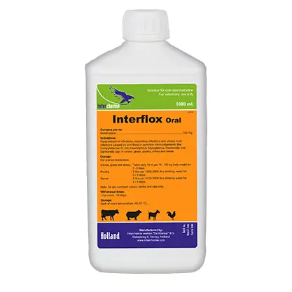 Interflox Oral a 1LT