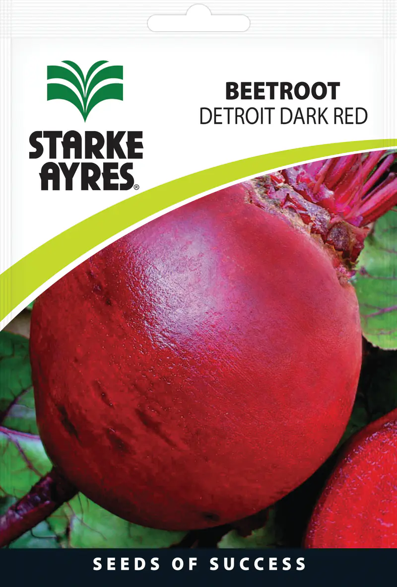 Beterraba Detroit Dark Red, 10G Starke