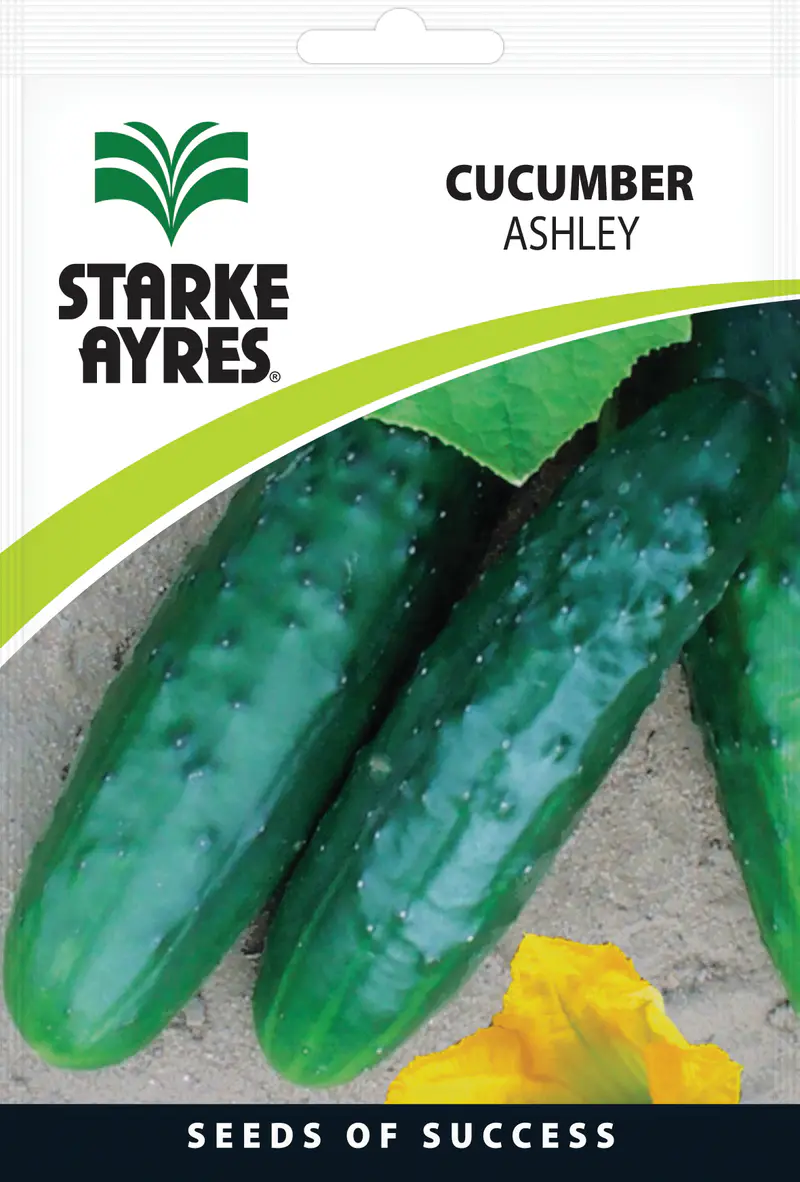 Pepino Ashley 10G, Starke