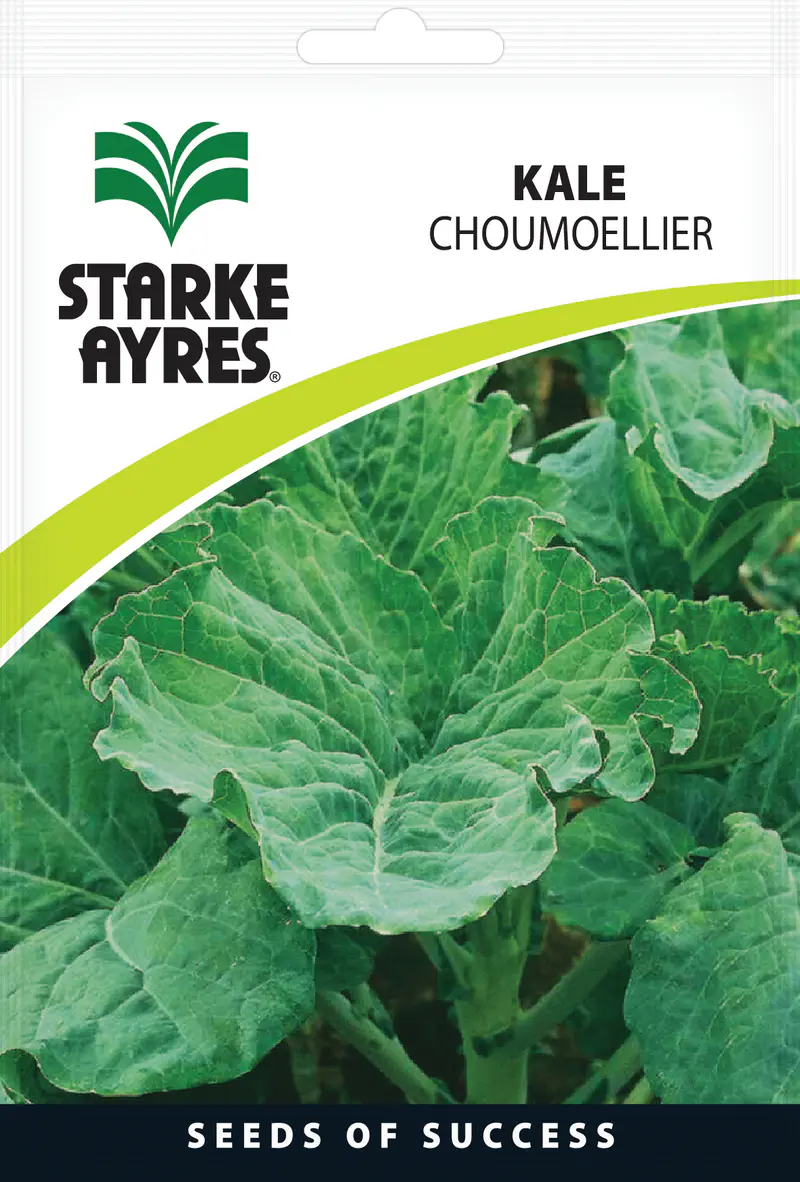 Couve Kale Choumoellier 25G Starke