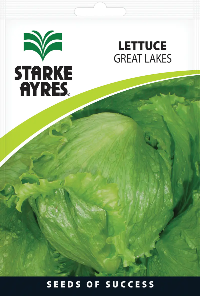 Alface Great Lakes, 10G Starke