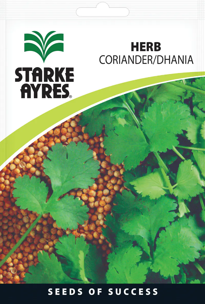 Coentro Coriander, 10G Starke