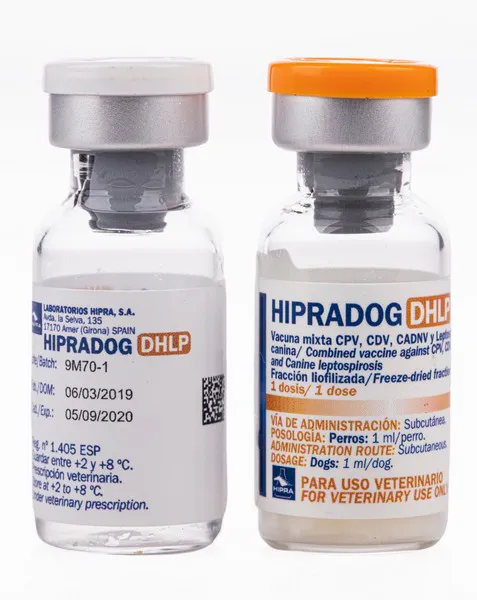 Hipradog DHLP (Vacina Multipla) 1ML