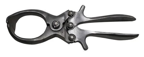 Castrador Artic., Aco INOX C/23CM P/Caprino
