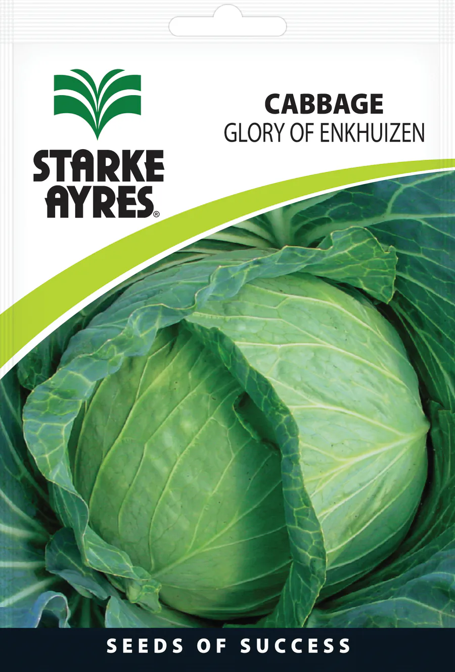 Repolho Gloria Of Enkhuizen, 10G Starke