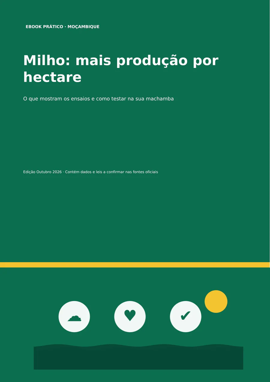 41 · Milho: mais produção por hectare