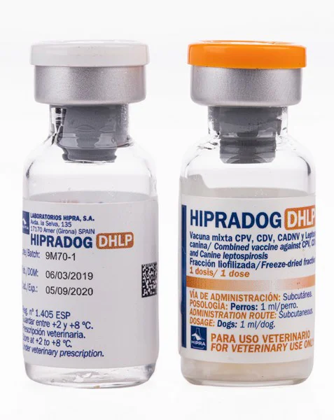 Hipradog DHLP (Vacina Multipla) 1ML