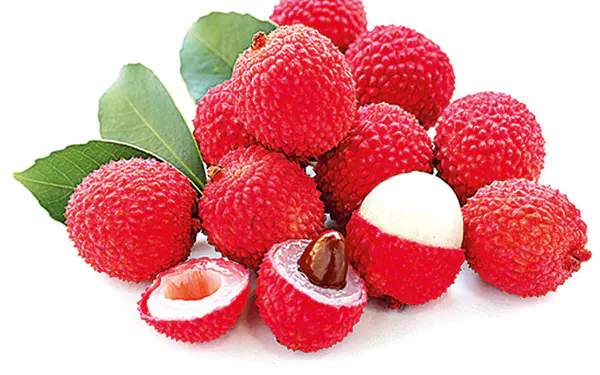 Lichia Fresca Premium 1 kg