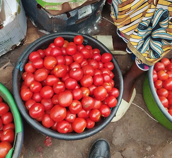 Tomate Fresco a Granel - Bacia Cheia