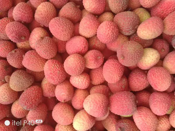 Lichia Fresca Premium 1 kg