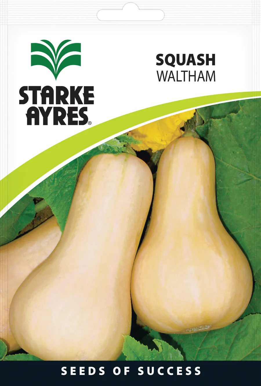 Abobora Flat White Boer, 10G Starke