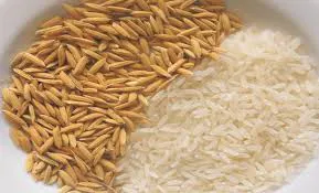 Semente de Arroz Macassane (kg)