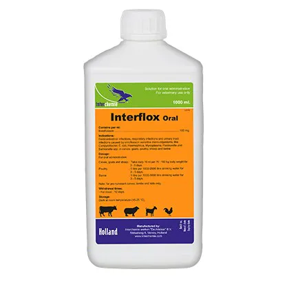 Interflox Oral a 1LT