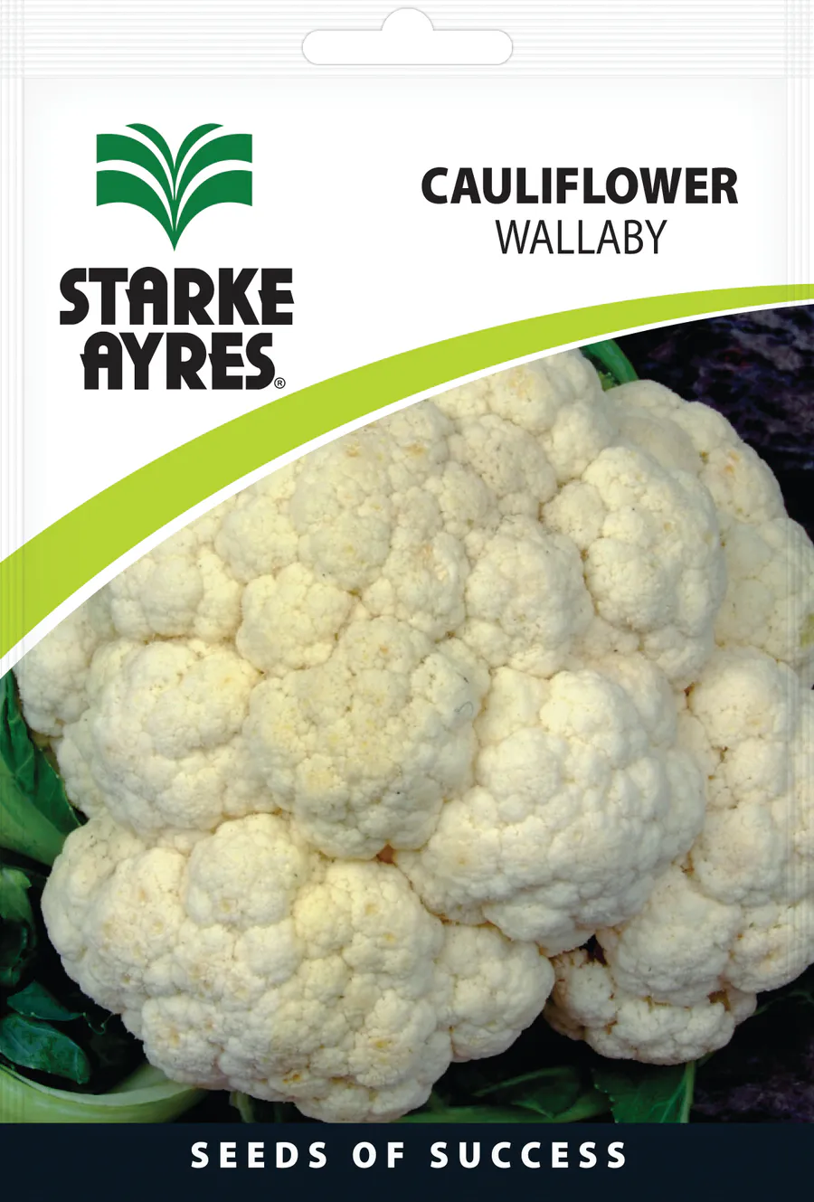 Couve Flor Wallaby, 10G Starke
