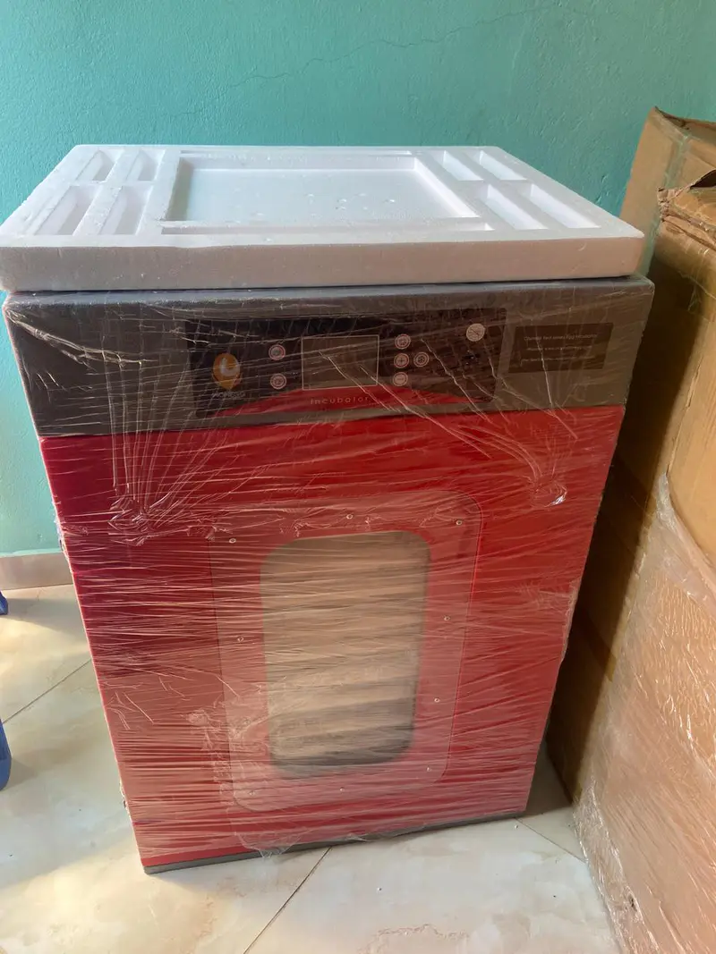 Incubadora Automática Vermelho e Cinzento 30 ovos