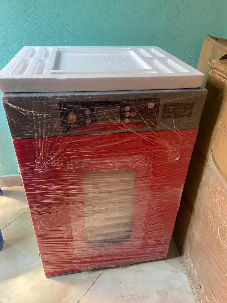 Incubadora Automática Vermelho e Cinzento 30 ovos